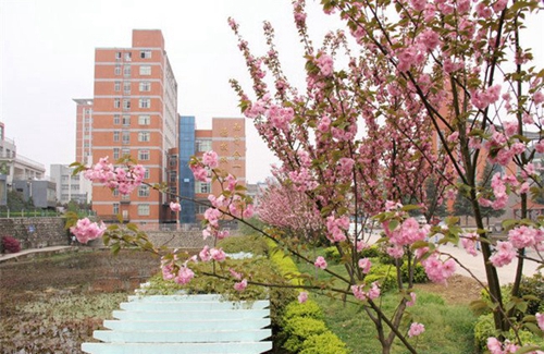 貴州交通技師學院(貴州省交通運輸學校)校園環(huán)境2