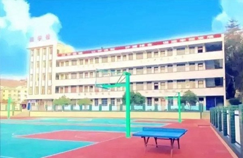 黔西縣中等職業(yè)學(xué)校(黔西職校)籃球場