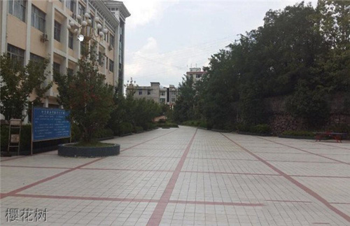 思南縣中等職業(yè)學(xué)校櫻花樹