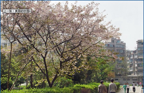 貴州省水利電力學(xué)校（清鎮(zhèn)水利電力學(xué)校）美麗的校園