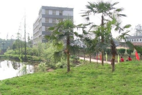 瀘州市天宇中等職業(yè)技術學校（天宇中專學校）校園環(huán)境