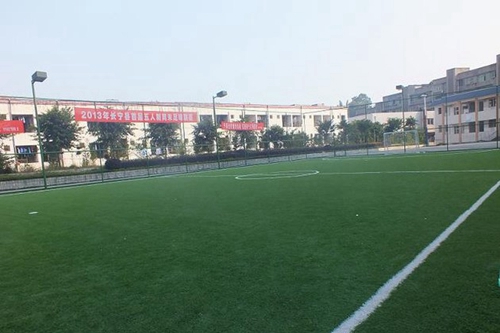宜賓上寧縣職業(yè)高級(jí)中學(xué)校（長(zhǎng)寧縣職業(yè)技術(shù)學(xué)校）塑膠足球場(chǎng)