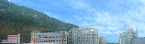 平昌通用職業(yè)技術(shù)學(xué)校塑膠運(yùn)動(dòng)場(chǎng)