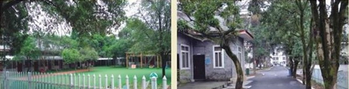 四川省檔案學(xué)校（雅安檔案學(xué)校）幼師實(shí)訓(xùn)基地及校園道路