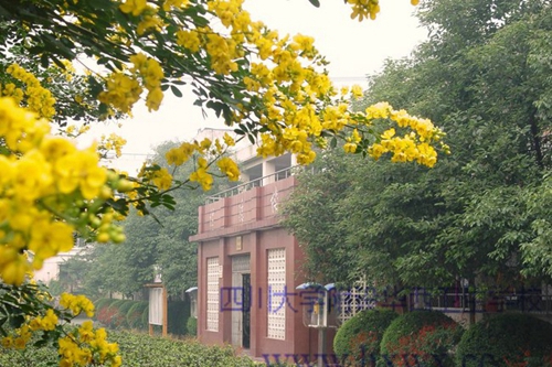 四川大學附設華西衛(wèi)生學校（成都華西衛(wèi)校）辦公樓一隅