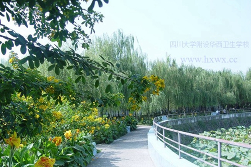 四川大學附設華西衛(wèi)生學校（成都華西衛(wèi)校）荷塘一隅