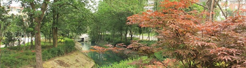 四川省商務學校（郫縣校區(qū)）校園內小河