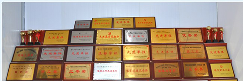 重慶市護士學校（魚洞護士學校）榮譽