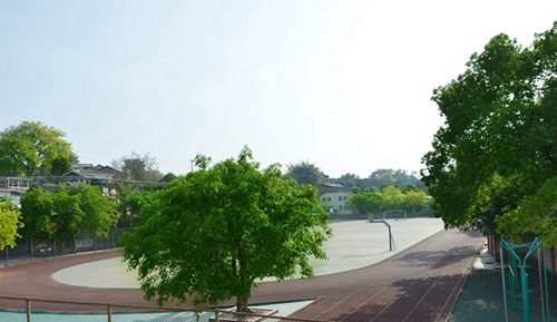 自貢市電子信息職業(yè)技術(shù)學(xué)校（自貢電信職校）操場