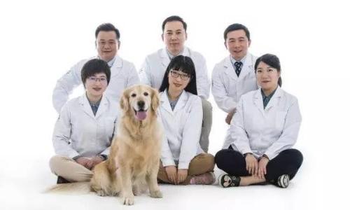 云南農(nóng)業(yè)大學(xué)動(dòng)物醫(yī)學(xué)專業(yè)介紹