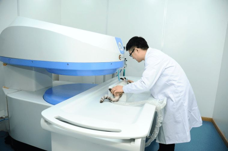 寵物臨床診療技術(shù)