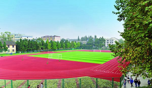 四川水利職業(yè)技術學院都江堰校區(qū)運動場