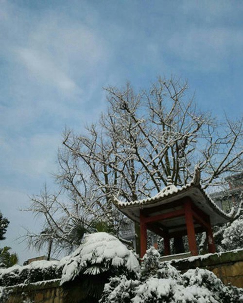 四川省鹽業(yè)學校校園雪景