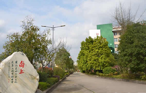 重慶墊江縣職業(yè)教育中心學校走道