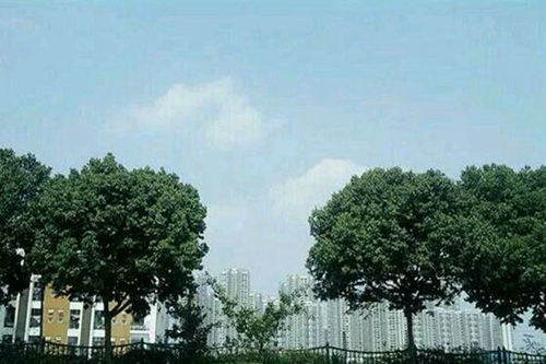 校園風(fēng)光