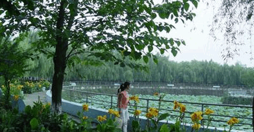 四川大學附設華西衛(wèi)生學校荷花池