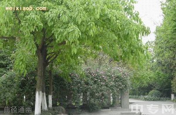 四川大學附設華西衛(wèi)生學校曲徑通幽