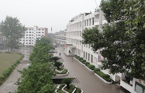 重慶墊江縣第一職業(yè)中學校園風光