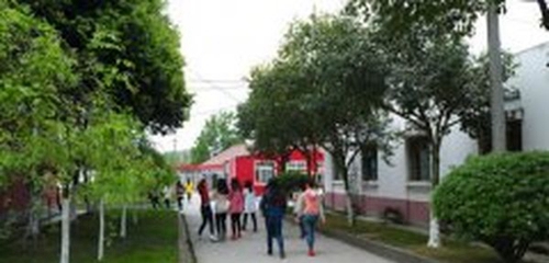 成都天府職業(yè)技術學校校園小道