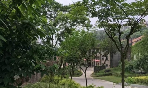 自貢市大安職業(yè)技術(shù)學校(大安職教中心)綠樹成蔭