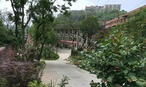 自貢市大安職業(yè)技術(shù)學校(大安職教中心)校園道路
