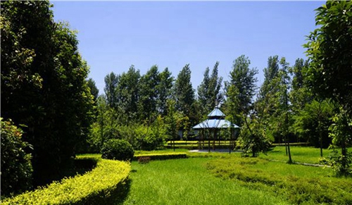 成都指南針職業(yè)技術學校后花園3