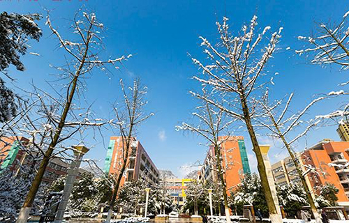 重慶南川隆化職業(yè)中學(xué)校校園雪景（3）