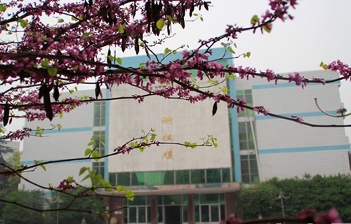 重慶行知職業(yè)技術(shù)學校春意蠱然
