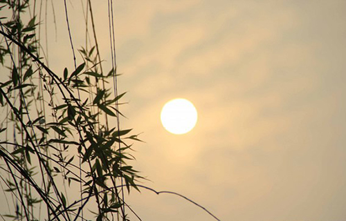重慶行知職業(yè)技術(shù)學校夕陽