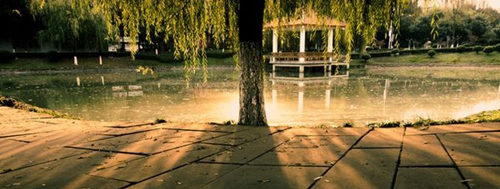 四川音樂(lè)學(xué)院附屬中等藝術(shù)學(xué)校校園一角