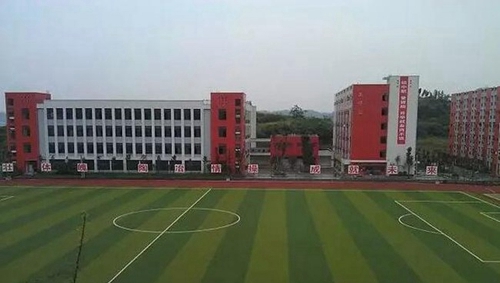 四川省安岳第一職業(yè)技術(shù)學校(安岳職業(yè)技術(shù)教育中心)足球場