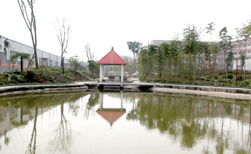 樂至縣高級職業(yè)中學(xué)校內(nèi)池塘