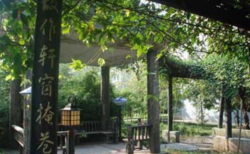 樂至縣高級職業(yè)中學(xué)休閑小道