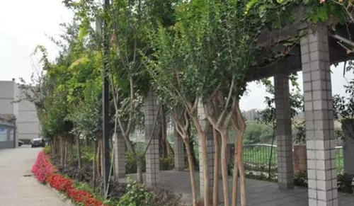 核工業(yè)成都機電學校長廊
