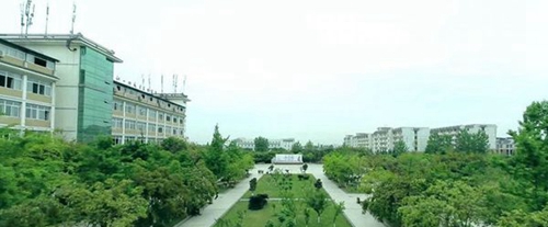 四川現(xiàn)代藝術學校校園綠化