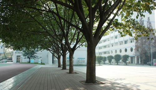 成都市洞子口職業(yè)高級(jí)中學(xué)校校園環(huán)境