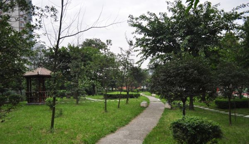 成都市洞子口職業(yè)高級(jí)中學(xué)校校園小徑