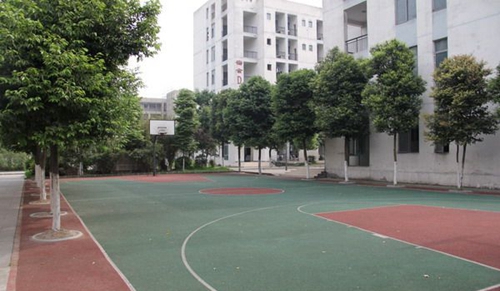 大邑縣技工學(xué)?；@球場