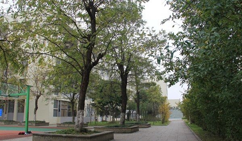 大邑縣技工學(xué)校校園一角