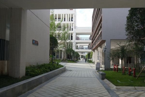 四川省成都市中和職業(yè)中學校園小道