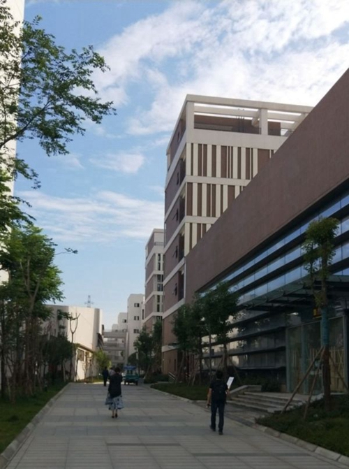 四川省成都市中和職業(yè)中學校園行道