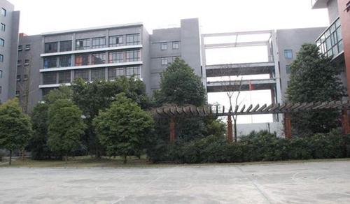 成都金沙職業(yè)技術學校校園一角