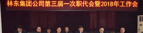 貴州林東礦業(yè)集團有限責(zé)任公司技工學(xué)校工作會