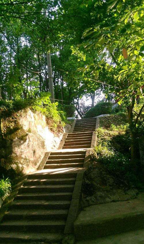 宜賓縣科普職業(yè)技術(shù)學校校園道路