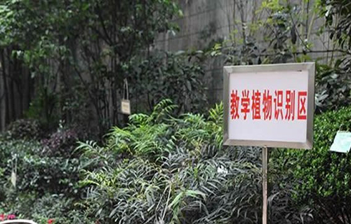 重慶市風(fēng)景園林技工學(xué)校教學(xué)植物識(shí)別區(qū)