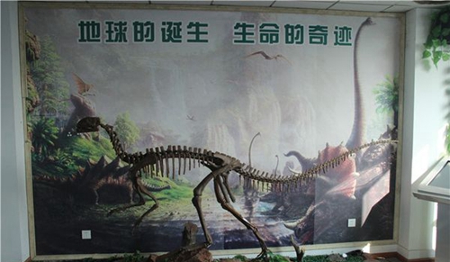 四川礦產(chǎn)機(jī)電技師學(xué)院地質(zhì)展廳