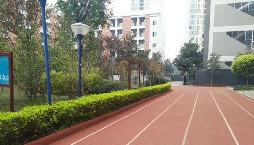 中國(guó)五冶大學(xué)（高新校區(qū)）校園后門(mén)景