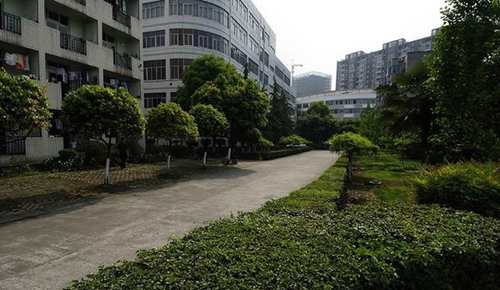 四川省水產(chǎn)學校校園一角1