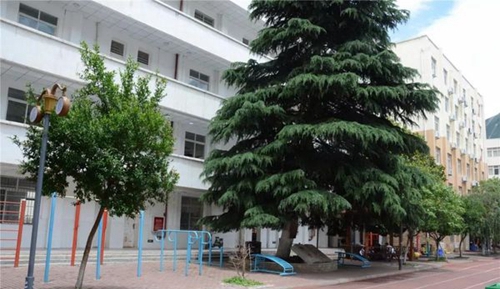 四川省威州民族師范學(xué)校運(yùn)動(dòng)器械