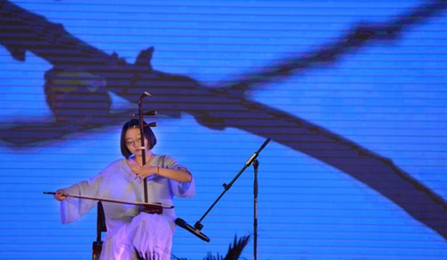 巴中市恩陽(yáng)區(qū)職業(yè)中學(xué)二胡獨(dú)奏